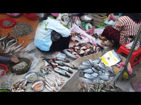 Cambodia street market | Morning food market scene, | Cambodia fish market | Cambodia early morning