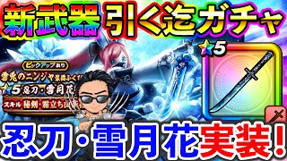 【ドラクエウォーク】忍刀・雪月花実装！武器考察＆引くまでガチャ生放送！