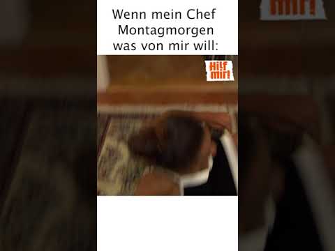 Wenn mein Chef Montagmorgen was von mir will | Hilf Mir #Shorts