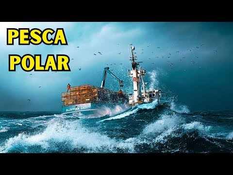Altamar Polar: Pescando en la profundidad del Ártico l Pesca radical