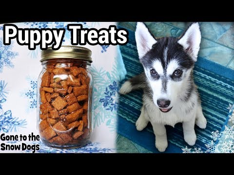 download lagu mp3 mp4 How To Make Homemade Puppy Treats, download lagu How To Make Homemade Puppy Treats gratis, unduh video klip How To Make Homemade Puppy Treats