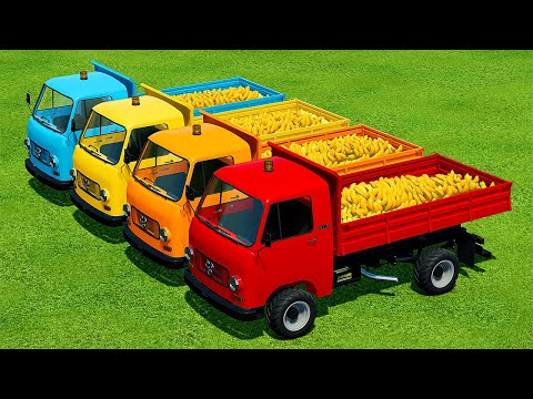LOAD & TRANSPORT BANANAS WITH COLORED LANDINI TRACTORS - Farming Simulator 22