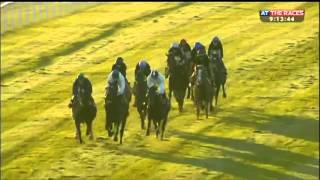 Aidan O'Brien Curragh gallops