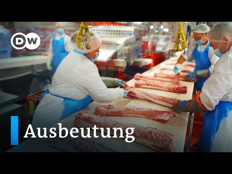 Wie Arbeiter in Deutschland ausgebeutet werden | DW Reporter