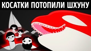 Косатки потопили корабль. 5 недель семья боролась за выживание в открытом океане