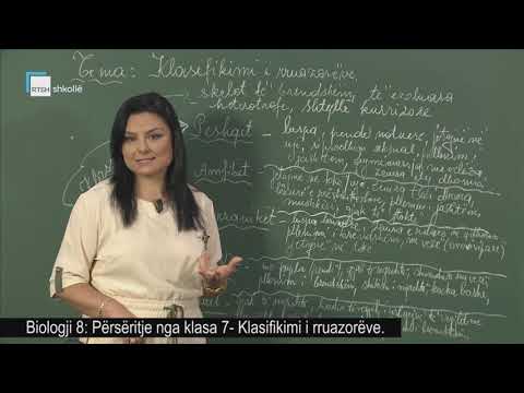 Biologji 8 - Përsëritje: Klasifikimi i rruazorëve