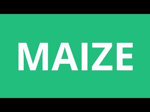How To Pronounce Maize - Pronunciation Academy