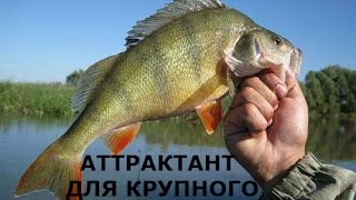 Аттрактанты своими руками на щуку