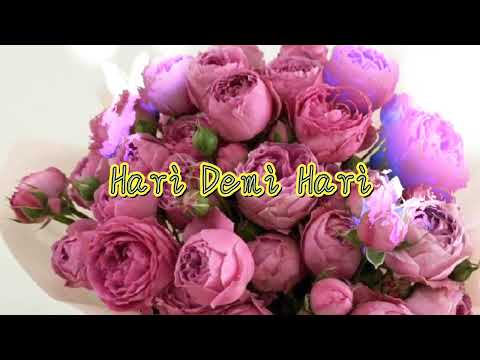 Hari Demi Hari ❤️ M Y Maznah