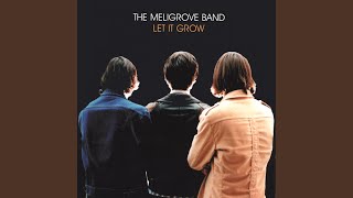 The Meligrove Band - Along comes a smile