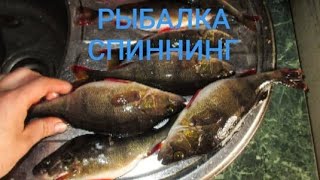 Рыбалка на реке скалба в братовщине 2020