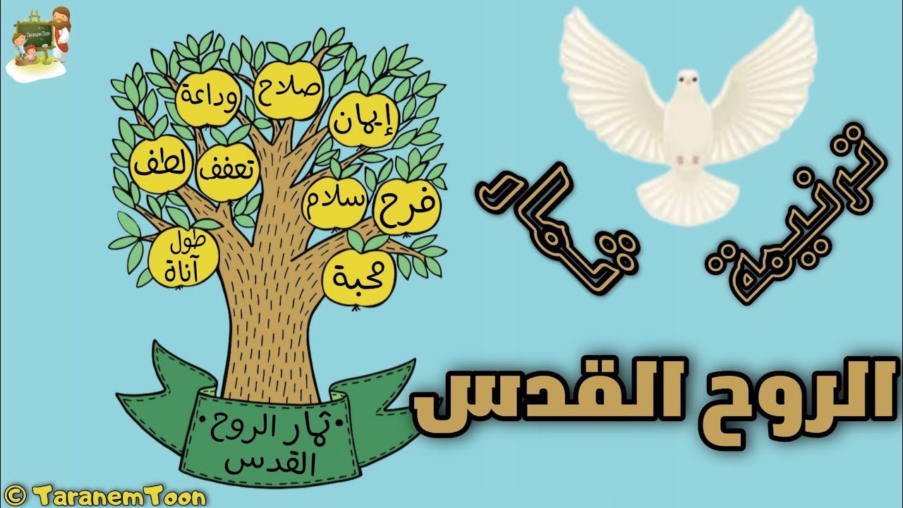 فيديو تفسير الكتاب المقدس | الكتاب المقدس رفيقي