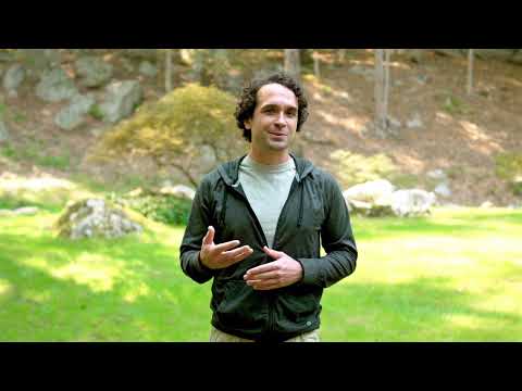 Hvordan ansøger man om folkepension efter de gældende sociale regler for ældre?