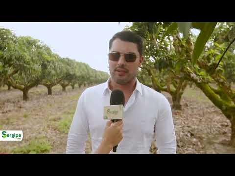 SERGIPE RURAL - PROGRAM 12 - 2nd season