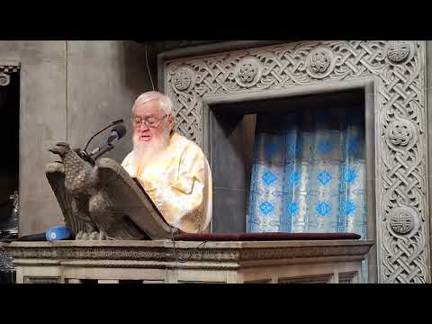 IPS Andrei - Duminica a 8-a după Rusalii (Înmulțirea pâinilor)