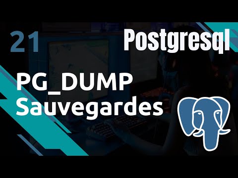 PostgreSQL 21 Sauvegardes pg dump pour vos sauvegardes | tutos fr