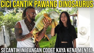 Download lagu This beautiful dinosaur handler has scars all over his hands, as if he's mentally ill | Gobi Iguana mp3