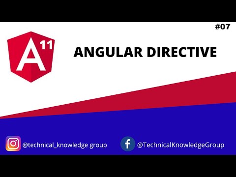 Angular 11 Directive Tutorial 7