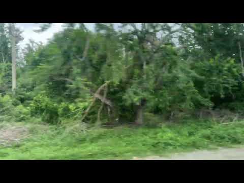 Route Guide: How to get from Almirante Beach Hotel to Holguin Airport (HOG).