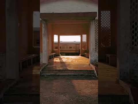 Guess the speed 100km/h?160km/h? 200km/h?😂 🤔 #shorts