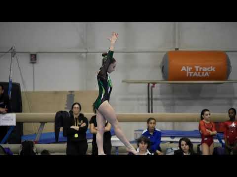 DIANA BRAMBILLASCA - MORTARA 24/03/2019 - TRAVE