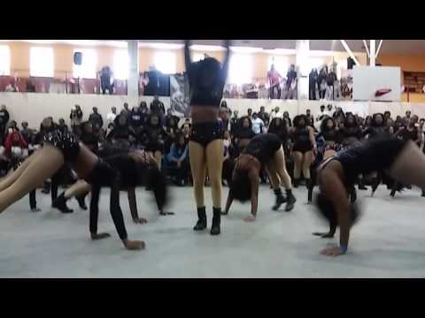 Strut N Strive Creative Floor Show (Sorority Probate) Turkey Battle 2016