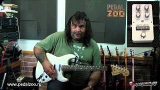 Empress Germ Drive - What To Know & Where To Buy | Equipboard