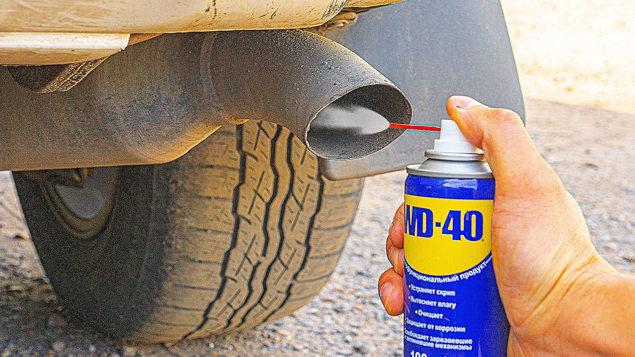 I regret not having learned this secret at age 50! I would die without knowing