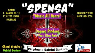 Download lagu Dagang Pindang Karaoke Koplo Dian Anic Full Album Lirik Sultan Trenggono Style Keyboard Spensa mp3