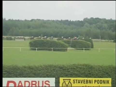 KO, 13. 8. 2016, 3. dostih - CENA OBCE KLADRUBY NAD LABEM