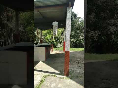 Fincas y Casas Campestres, Venta, Dagua - $380.000.000