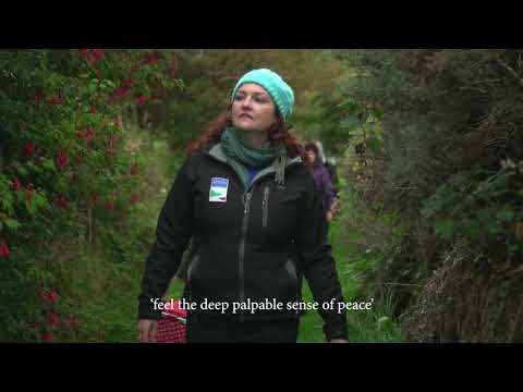 Sacred sites of Killeavy  tour