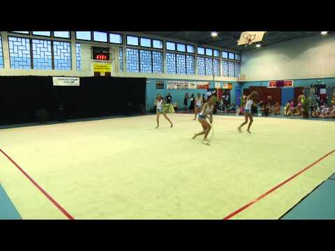 Gala 2014 - DC4 Minime