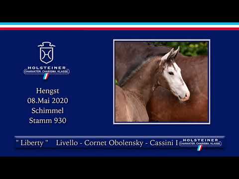 Holsteiner Elite-Fohlenauktion | Nr. 49 v. Livello - Cornet Obolensky