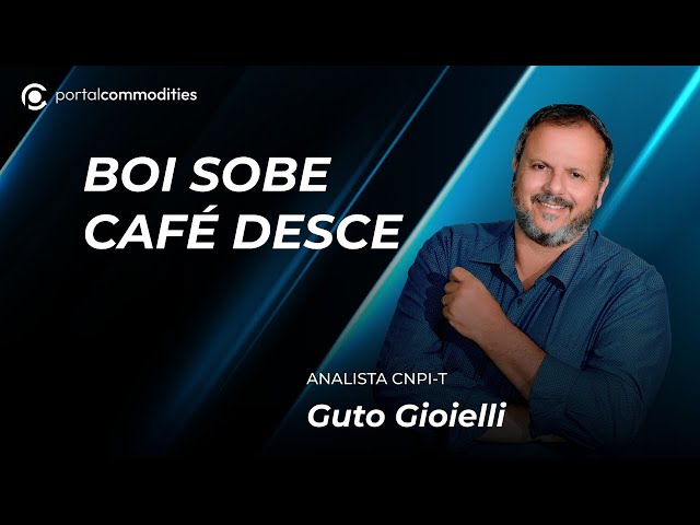 Desvalorização do dólar mexe com preços