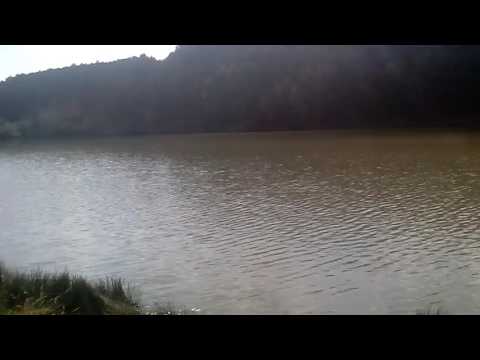 Colt de rai-Bulzesti