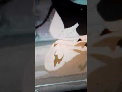 VACAS VAQUERAS  PELICULA COMPLETA  PT 10