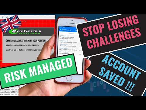 Video Cerberus Equity Watcher