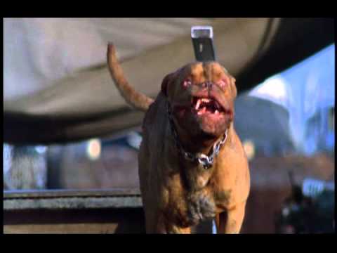 Turner And Hooch -  a muffin