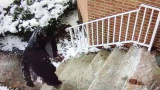 Meek Mill Falls Down The Steps Into The Snow Leaving His Mom House (Funny)