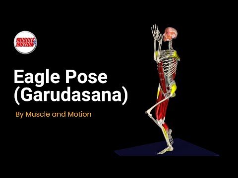 Eagle Pose (Garudasana): Balance & Alignment