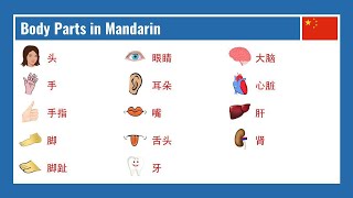 Mandarin Body Vocabulary Flashcard Videos