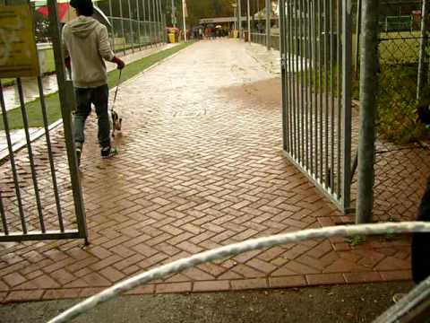 071:KeyTown Cruisers @ Leiderdorp Hockey Club Alecto