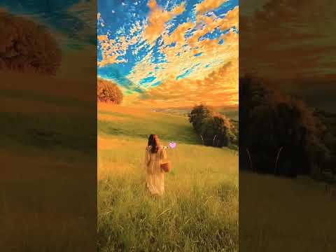 هاني شاكر - Hany Shaker -  بكل العمر حبيتك - trending explore music AI KI مصر العراق الخليج المغرب