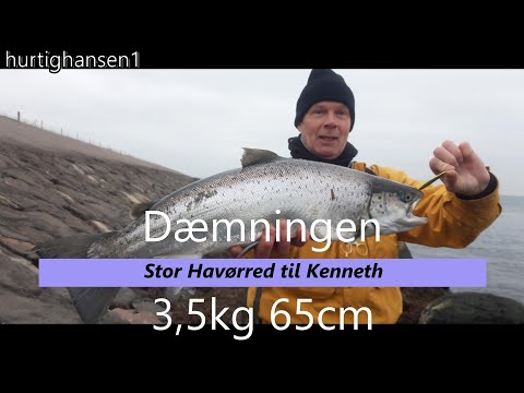 Stor havrred til kenneth Dmningen Nov 2019