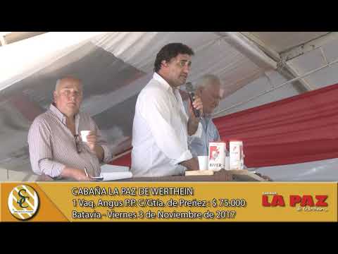 03-11-17 Venta de Vaquillonas Angus P.P. - Cabaña La Paz de Werthein - Batavia, San Luis