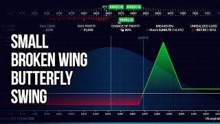 Why You Should Swing Trade SPX Broken Wing Butterflys