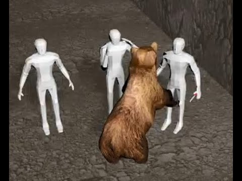 홋카이도 거대한 불곰 포획! 등산 대학생 사망, 습격 이유는? | 김타쿠닷컴