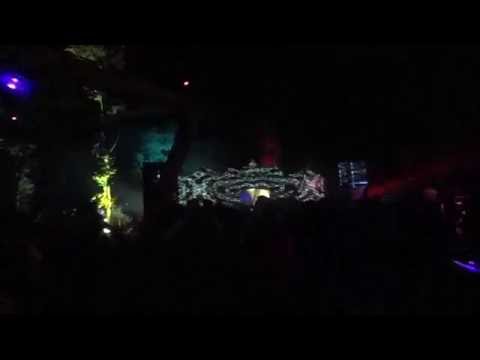 Polyphonia Tribute Set by ZikOre @ One Love Festival 2016