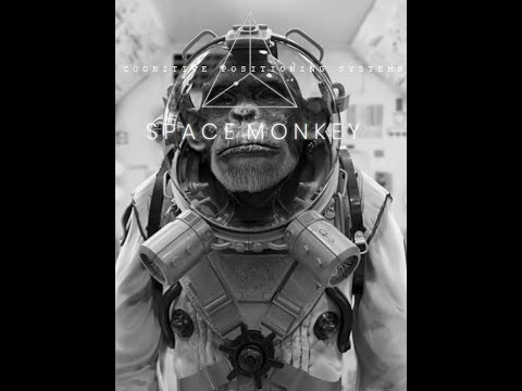 Play Video Youtube Video